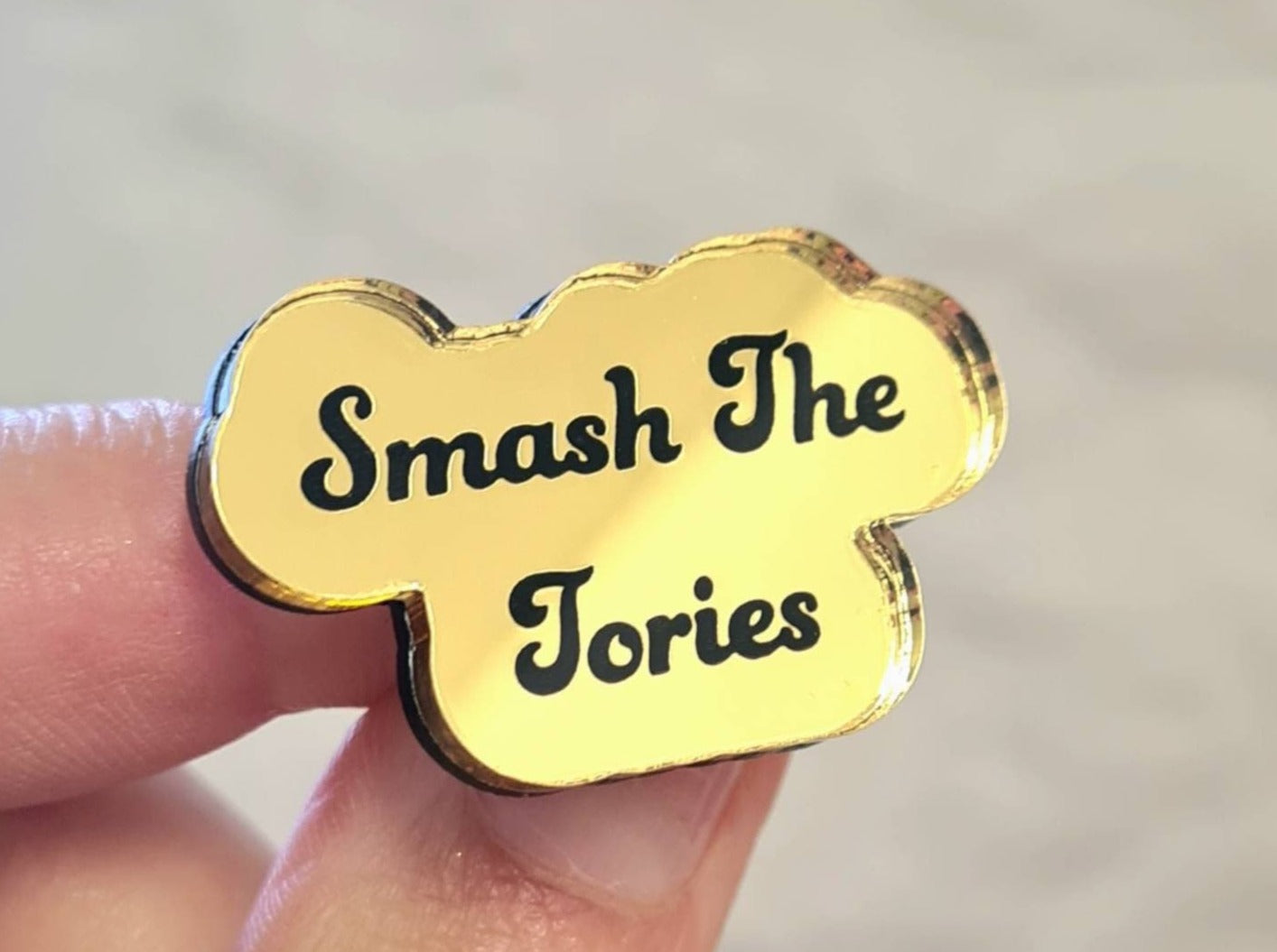 Smash The Tories Pin, anti Tory brooch, fuck the Tories